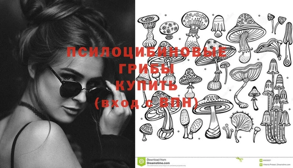 твердый Армянск
