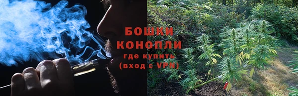 ПСИЛОЦИБИНОВЫЕ ГРИБЫ Аркадак