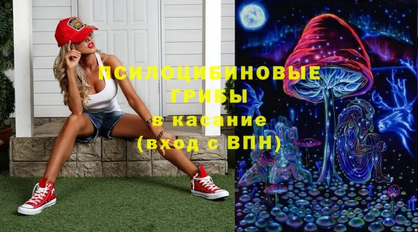 бошки Арсеньев