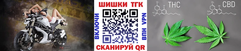 где купить наркоту  Приморско-Ахтарск  Бошки Шишки SATIVA & INDICA 
